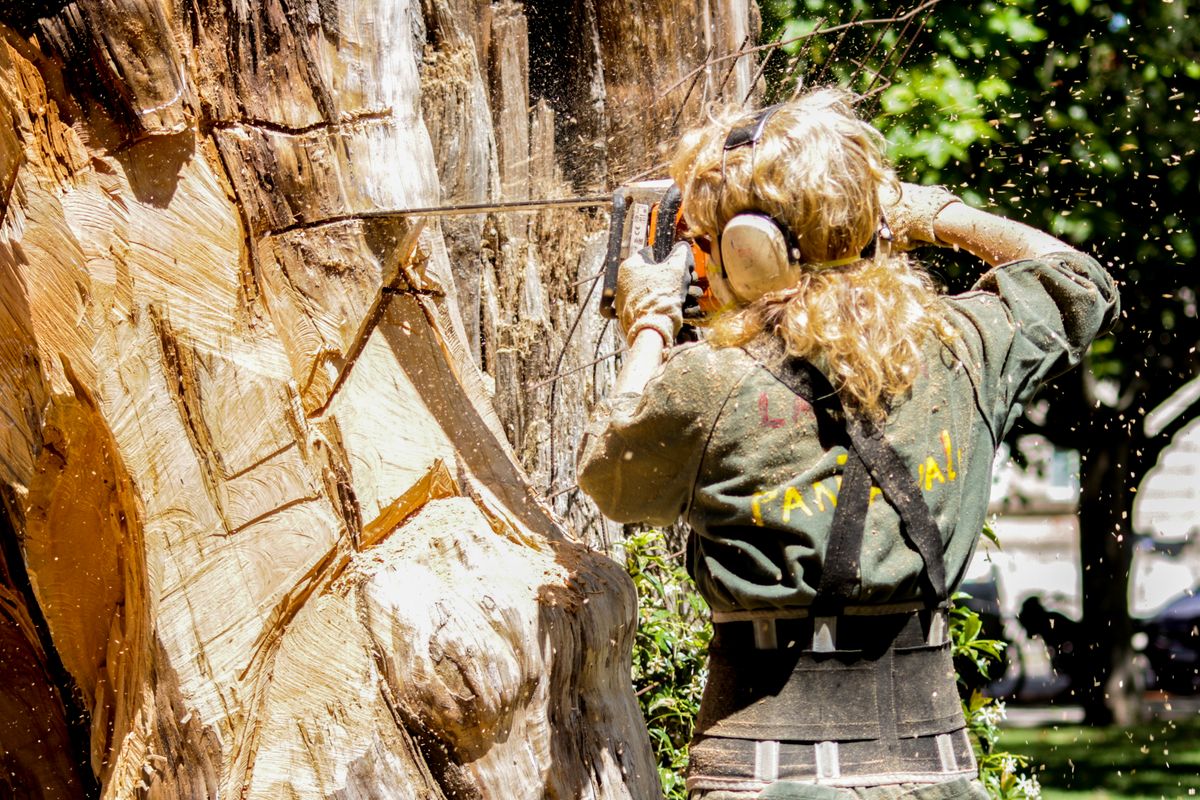 Arboriste équipée de protections auditives, travaillant sur un gros tronc