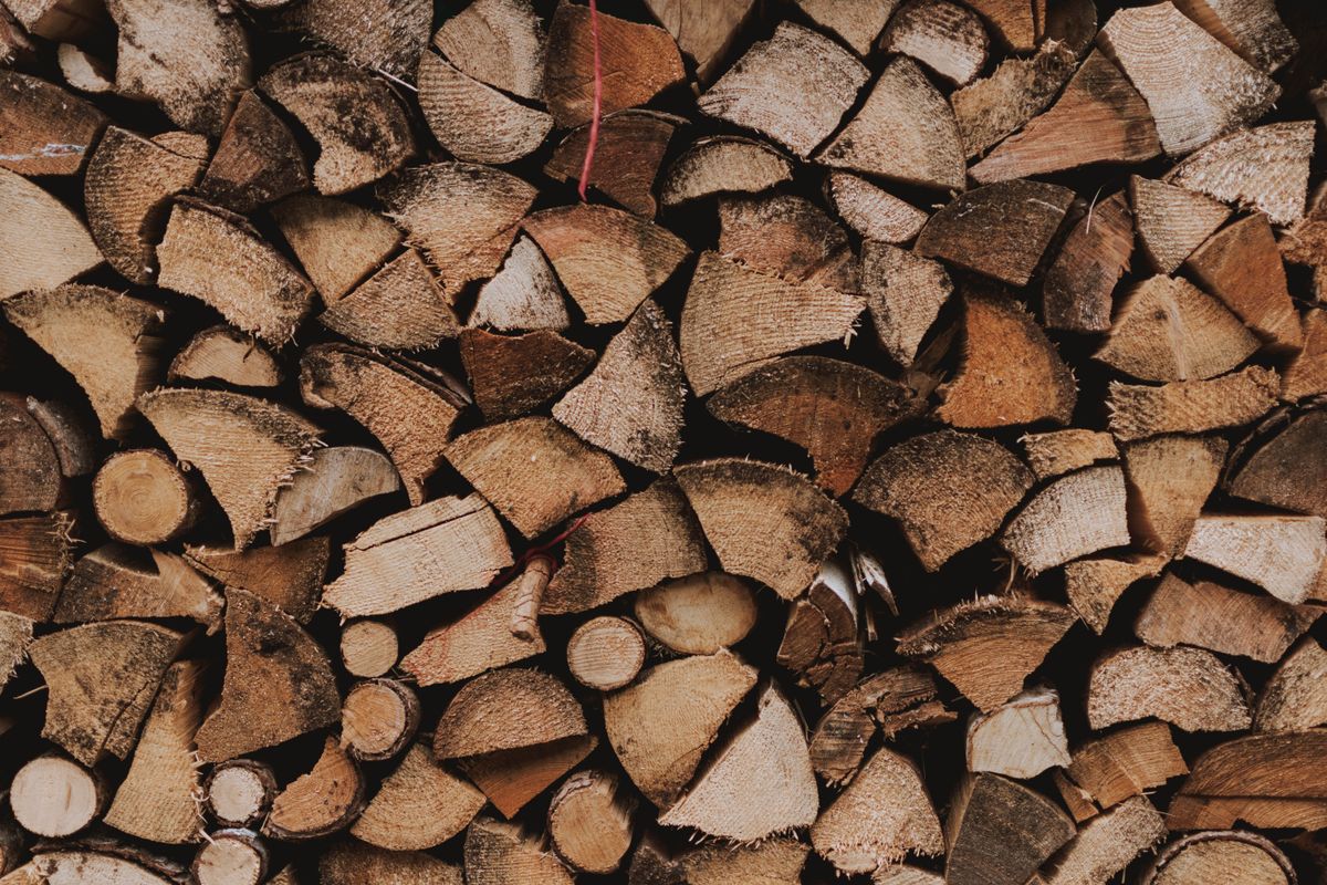Bûches de bois empilées soigneusement, issues d'un abattage