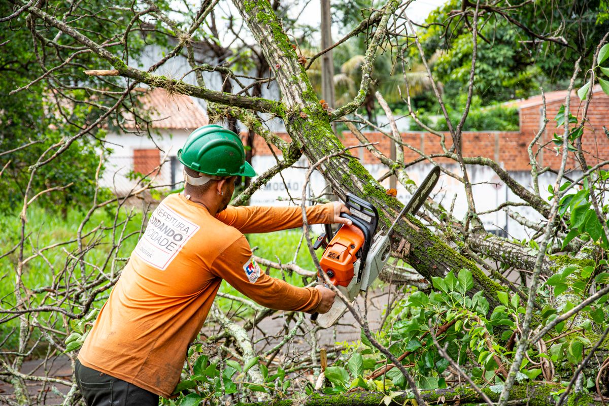 Ouvrier en tenue orange coupant des branches à la tronçonneuse près d'un mur de briques